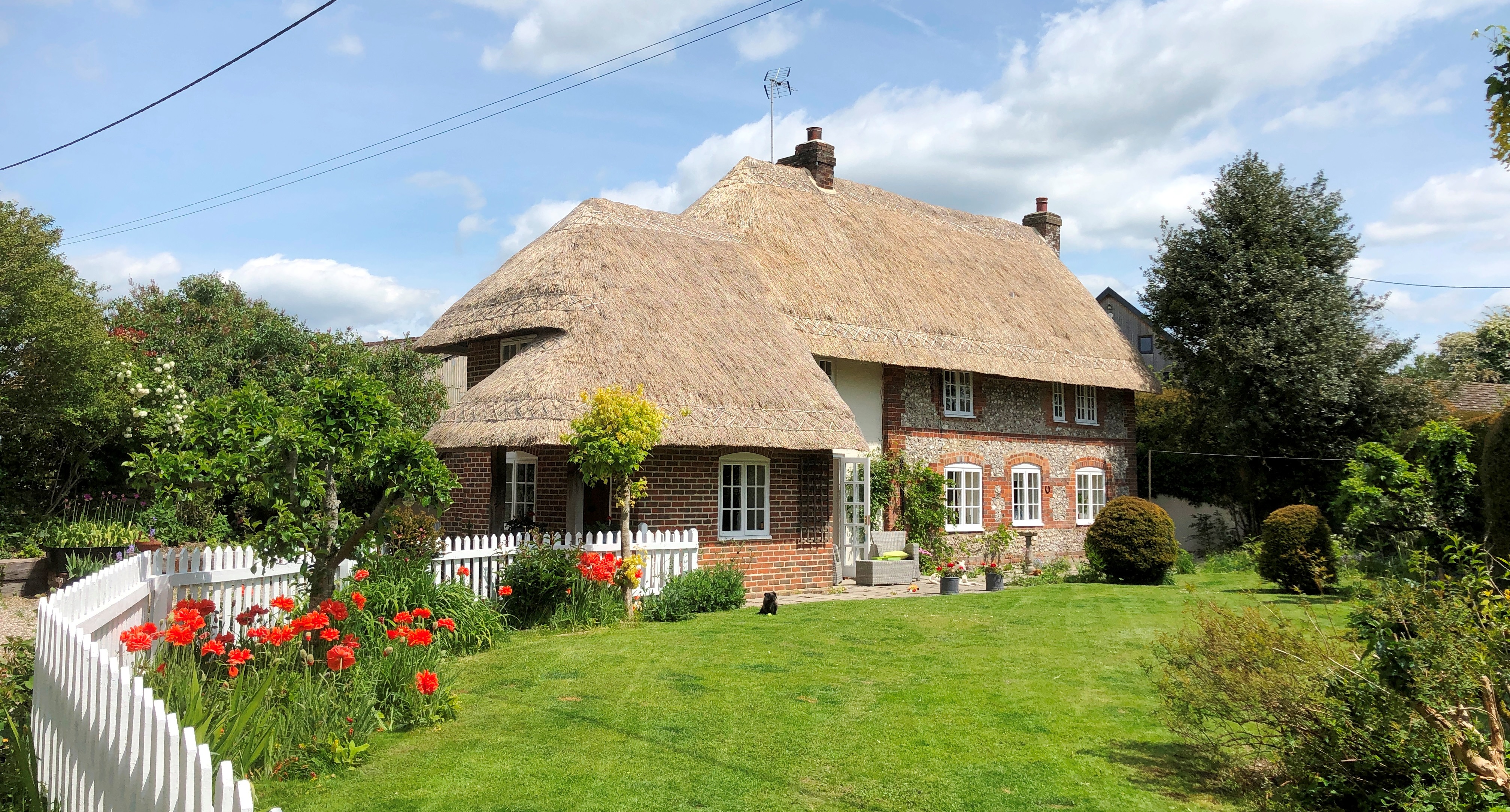 Charming cottage in Hampshire village